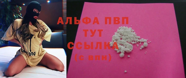 СК Аркадак