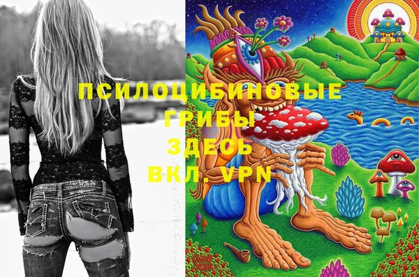 СК Аркадак