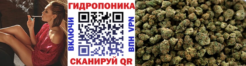 KRAKEN зеркало  даркнет состав  Баксан  Конопля White Widow  где можно купить наркотик 